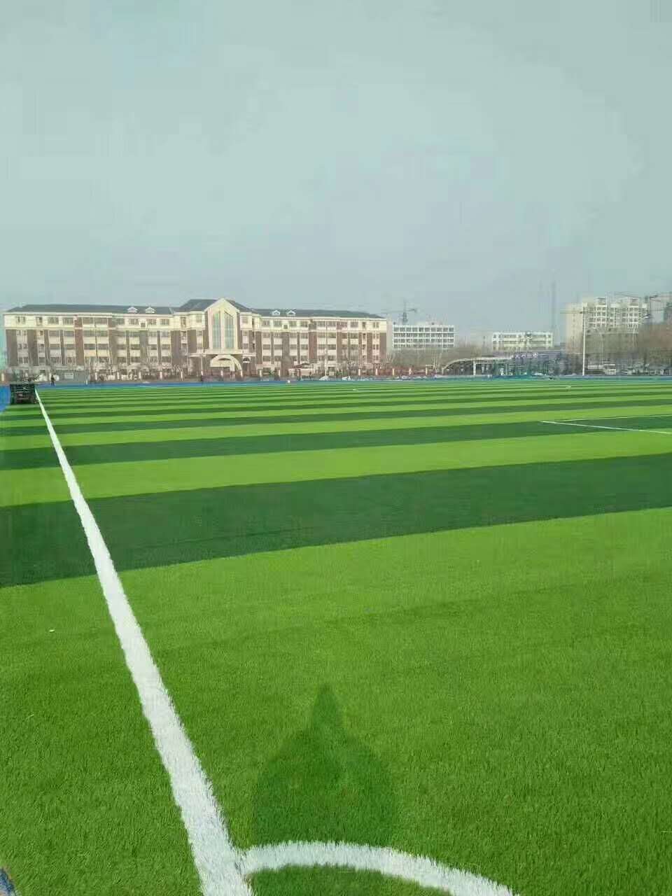 扬州市塑胶颗粒仿真草坪 - 推荐